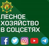 Министерство лесного хозяйства в социальных сетях