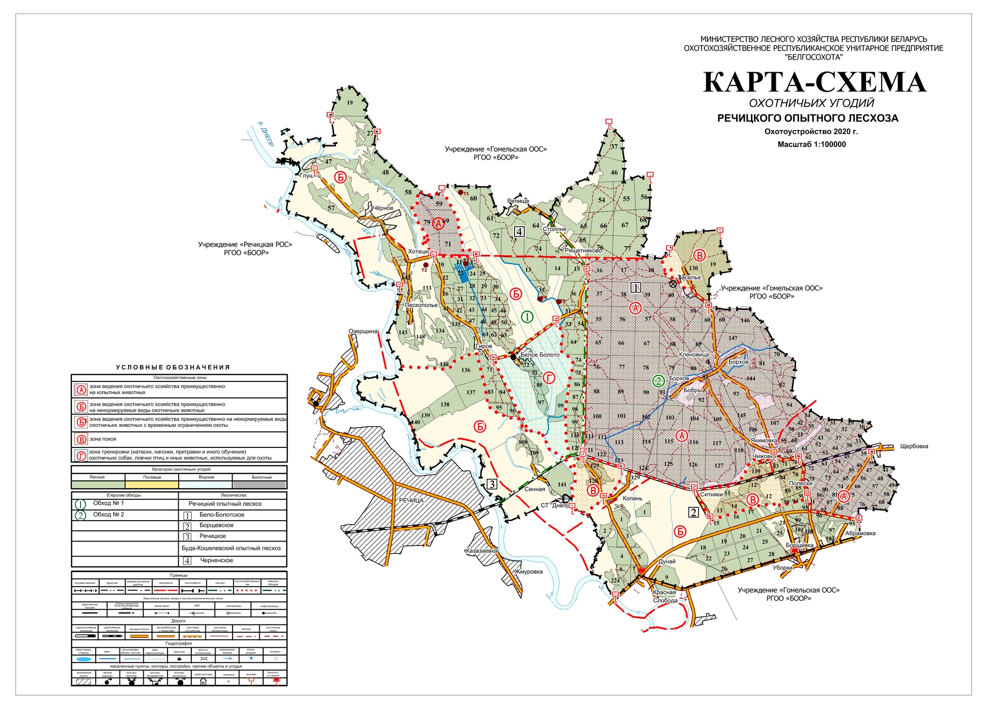 Карта со спутника речицкого района